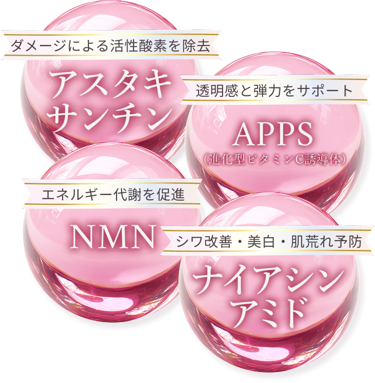 図解
